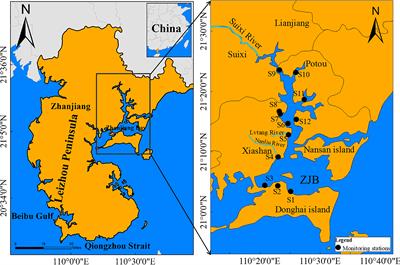 Tracing Land-Based Microplastic Sources in Coastal Waters of Zhanjiang Bay, China: Spatiotemporal Pattern, Composition, and Flux